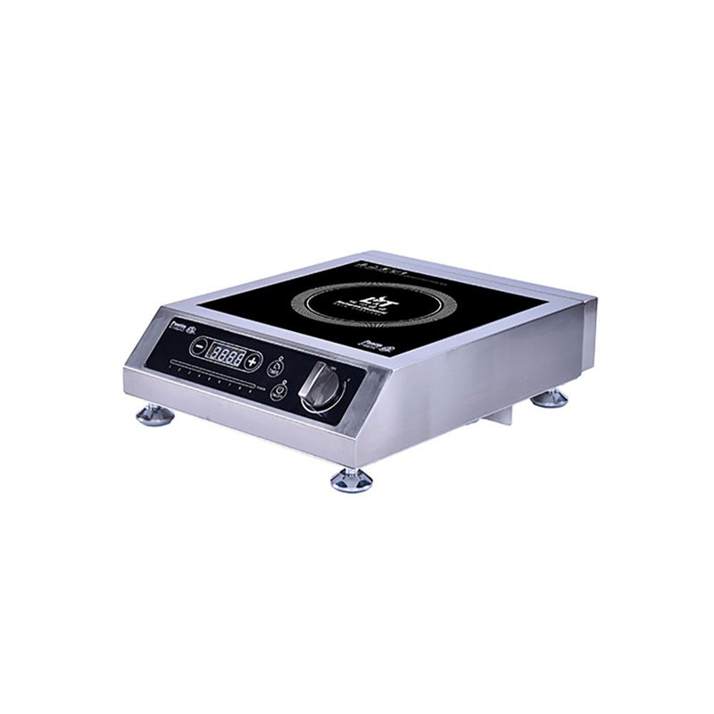 Pantin Induction Hot Plate Wayfair